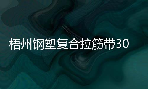 梧州鋼塑復合拉筋帶30020B指標