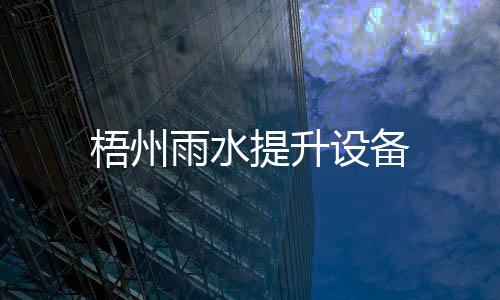 梧州雨水提升設備