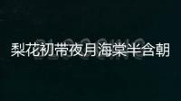 梨花初帶夜月海棠半含朝雨的意思 見梨花初帶夜月的意思