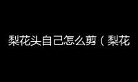 梨花頭自己怎么剪（梨花頭自己怎么弄好看）