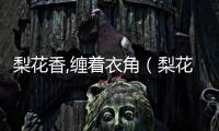 梨花香,纏著衣角（梨花香纏著衣角）