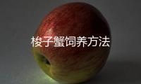 梭子蟹飼養(yǎng)方法