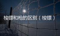 梭鏢和槍的區(qū)別（梭鏢）