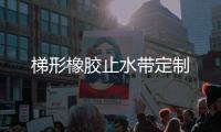 梯形橡膠止水帶定制