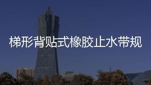 梯形背貼式橡膠止水帶規格與價格