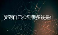 夢到自己撿到很多錢是什么意思(撿到一只布偶貓好不好)