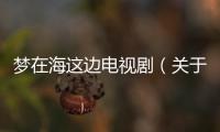 夢在海這邊電視劇（關于夢在海這邊電視劇的基本情況說明介紹）