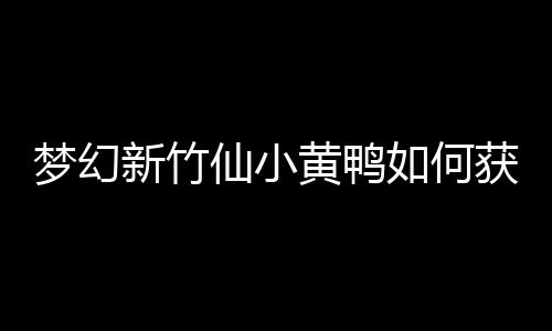 夢幻新竹仙小黃鴨如何獲取并分享？