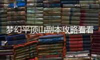 夢(mèng)幻平頂山副本攻略看看網(wǎng)友是如何評(píng)論的！