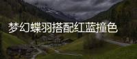 夢幻蝶羽搭配紅藍(lán)撞色 榮耀30S蝶羽紅潮美進(jìn)階【數(shù)碼&手機(jī)】風(fēng)尚中國網(wǎng)