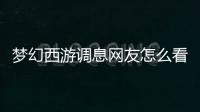夢幻西游調(diào)息網(wǎng)友怎么看?