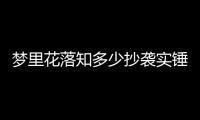 夢里花落知多少抄襲實錘片段（夢里花落知多少抄襲片段）
