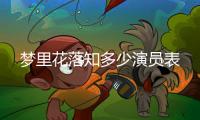 夢里花落知多少演員表