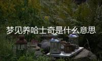 夢見養(yǎng)哈士奇是什么意思(夢見養(yǎng)哈士奇撿到手機(jī))