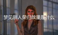 夢見別人榮歸故里是什么意思（榮歸故里是什么意思）