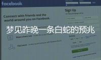 夢見昨晚一條白蛇的預兆 四川發現一條美人蛇