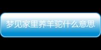夢(mèng)見家里養(yǎng)羊駝什么意思（羊駝什么意思）