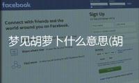 夢見胡蘿卜什么意思(胡蘿卜代表什么意思)