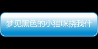 夢見黑色的小貓咪撓我什么意思？夢見黑色的小貓抓著我的手不放