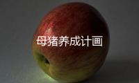母豬養(yǎng)成計(jì)畫