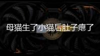 母貓生了小貓后肚子癟了(母貓生了小貓后肚子癟怎么回事)