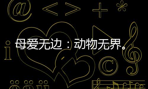 母愛無邊：動物無界。