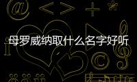 母羅威納取什么名字好聽(黑色羅威納取什么名字好)