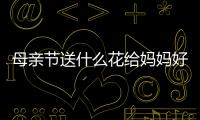 母親節送什么花給媽媽好看（母親節送什么花給媽媽最適合）