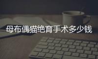 母布偶貓絕育手術(shù)多少錢(布偶貓母貓做絕育多少錢)
