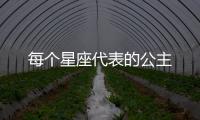 每個(gè)星座代表的公主
