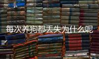 每次養狗都丟失為什么呢？為什么養狗總是丟