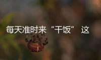 每天準時來“干飯” 這位特殊的客人好可愛→