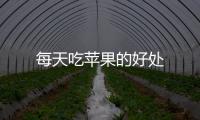 每天吃蘋果的好處