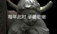 每年此時 子姜最嫩