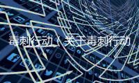毒刺行動（關于毒刺行動的基本情況說明介紹）