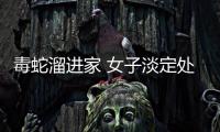 毒蛇溜進家 女子淡定處理