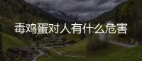 毒雞蛋對(duì)人有什么危害