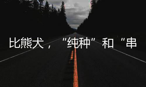 比熊犬，“純種”和“串串”如何區(qū)分？ 比熊犬 純種 長(zhǎng)大后