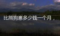 比熊狗崽多少錢一個月，比熊小狗一般多少錢