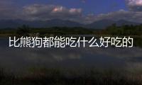 比熊狗都能吃什么好吃的？比熊狗都能吃什么好吃的食物