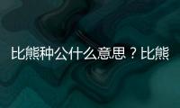 比熊種公什么意思？比熊種公配種多少斤好