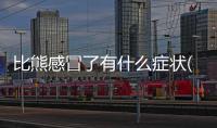 比熊感冒了有什么癥狀(小比熊感冒了什么癥狀)