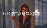 比熊流口水是怎么回事(比熊一直流口水)