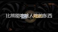 比熊能吃啥人吃的東西