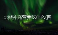 比熊補(bǔ)充營(yíng)養(yǎng)吃什么(四個(gè)月比熊吃什么補(bǔ)充營(yíng)養(yǎng))