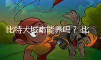 比特犬城市能養(yǎng)嗎？ 比特犬在中國能養(yǎng)嗎
