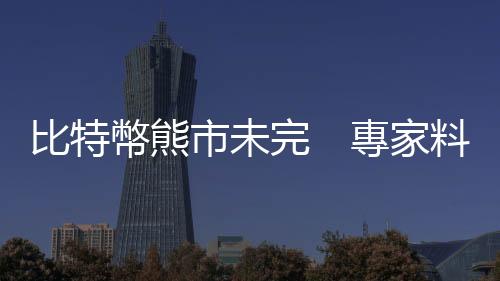 比特幣熊市未完　專家料見8500美元