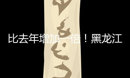 比去年增加一倍！黑龍江玉米補貼再次上調，每坰多了450元