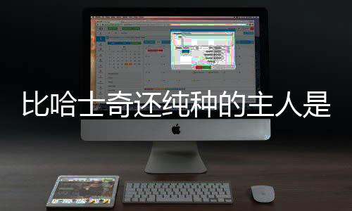 比哈士奇還純種的主人是誰？比哈士奇還傻的狗