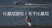 比基尼部位（關于比基尼部位的基本情況說明介紹）